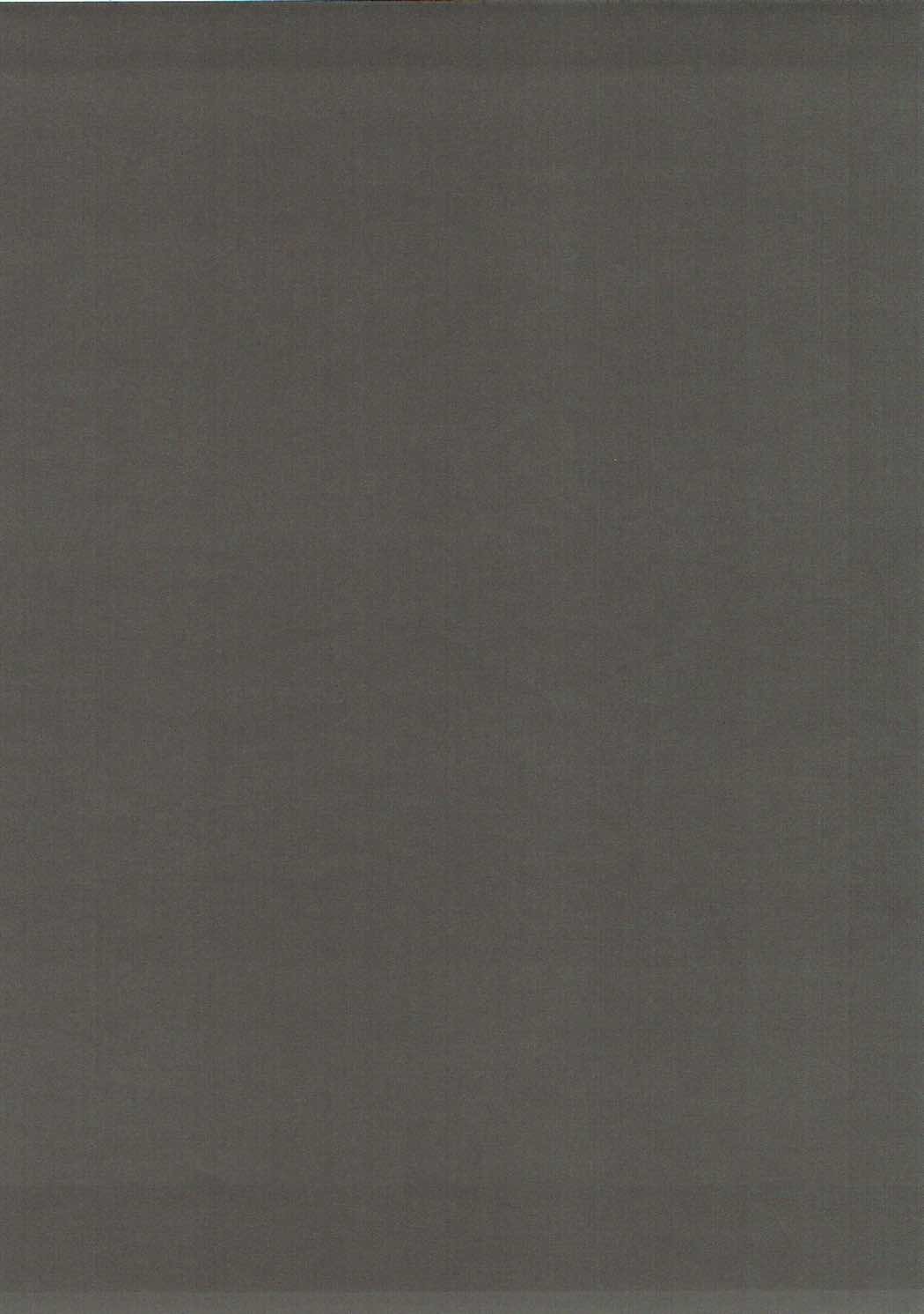 食館魔術師少女