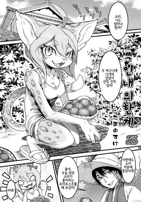 がまんの玄海 がまんの玄海