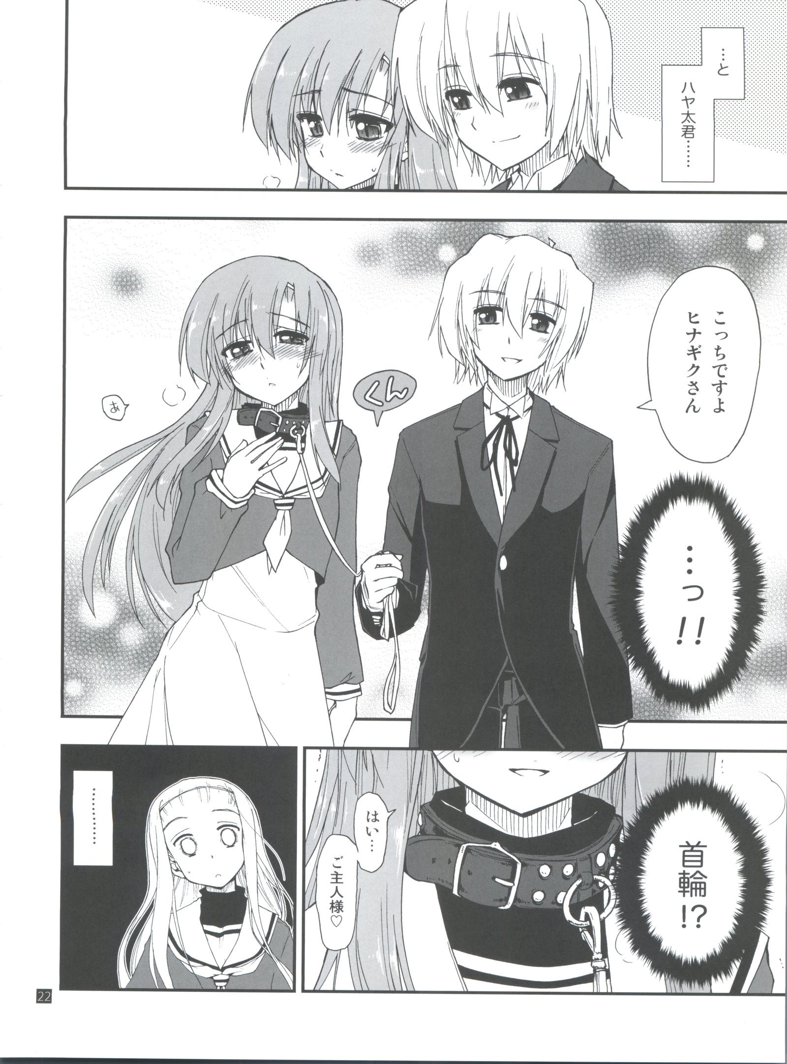 ひなからはやて1