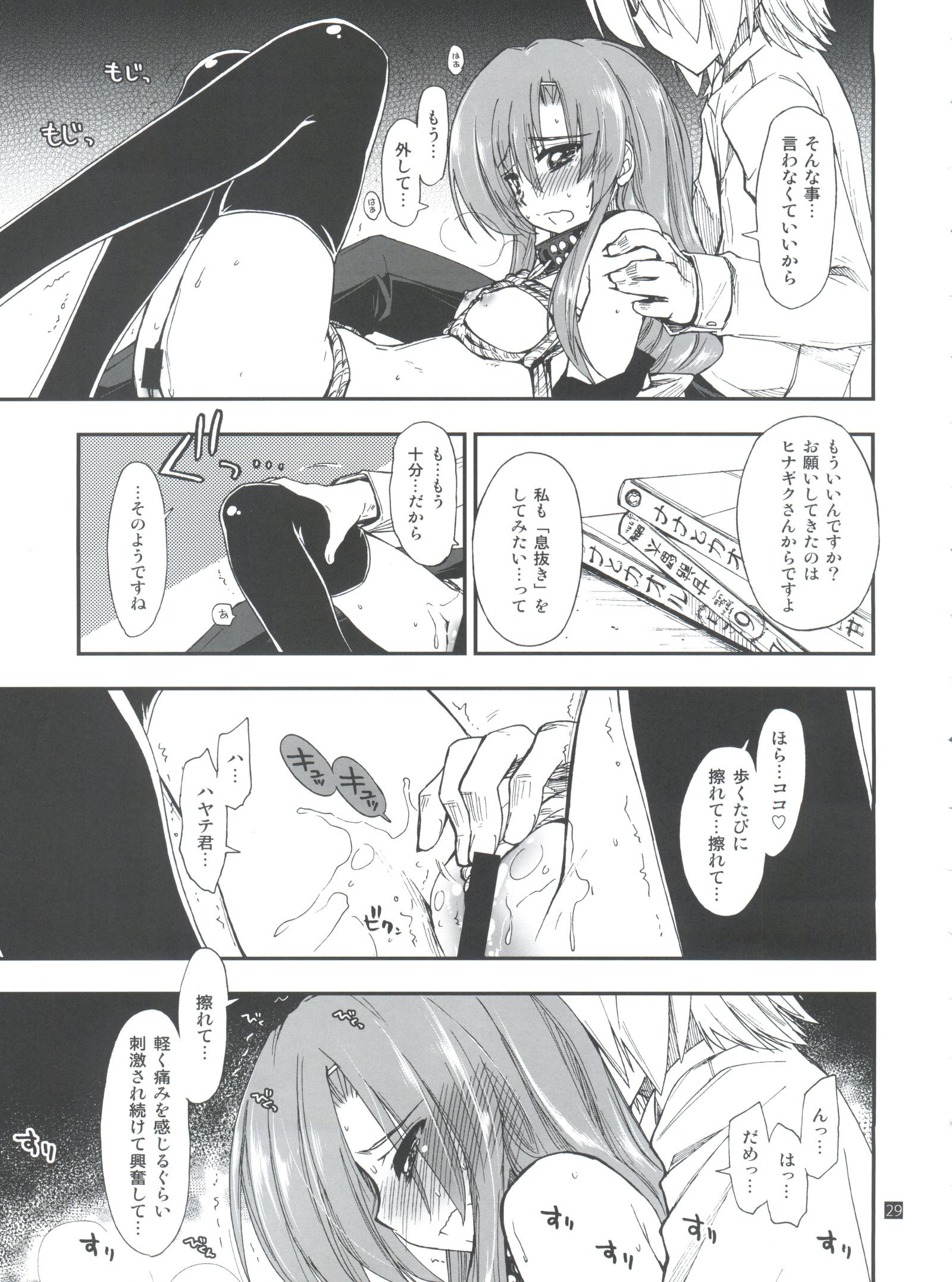 ひなからはやて1