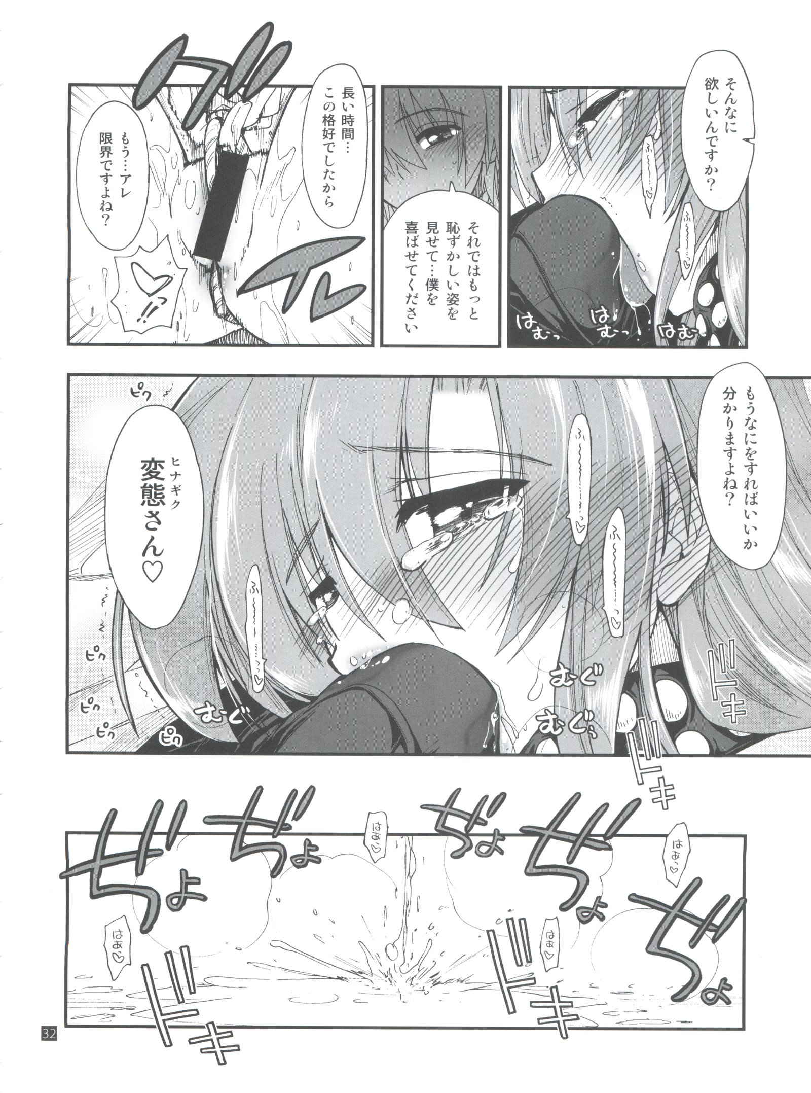 ひなからはやて1