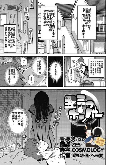 ウシミツ爆撃機 ウシミツ爆撃機