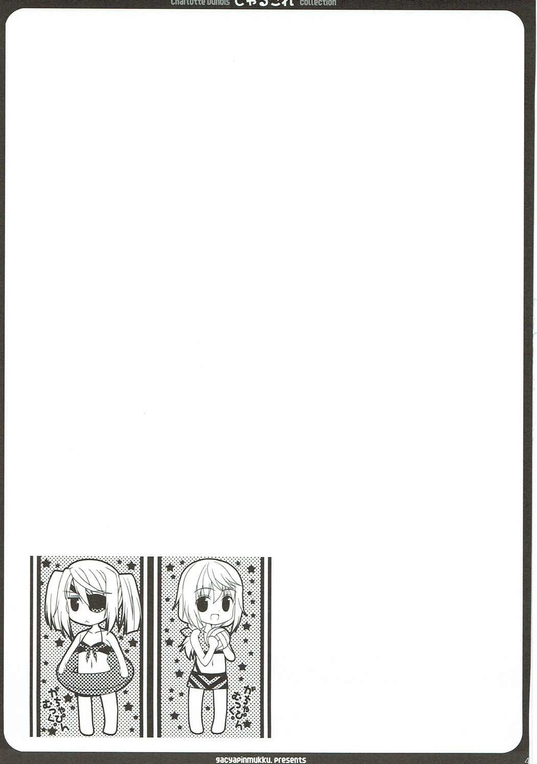 CharColle-シャルロットデュノワコレクション CharColle-シャルロットデュノワコレクション