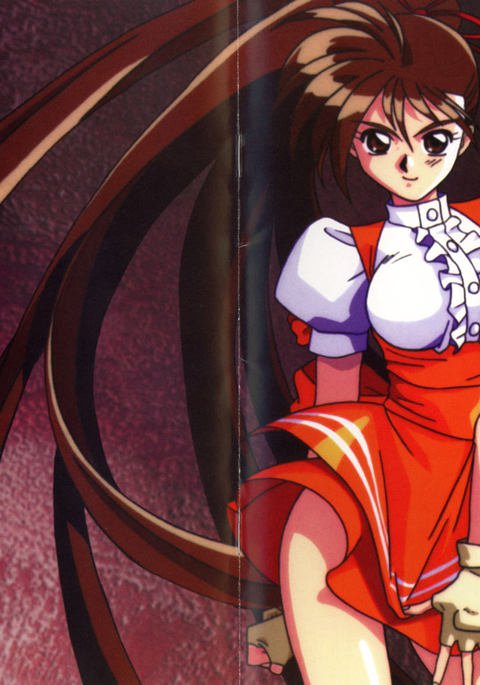 V.G.パーフェクトコレクションイラスト V.G.パーフェクトコレクションイラスト