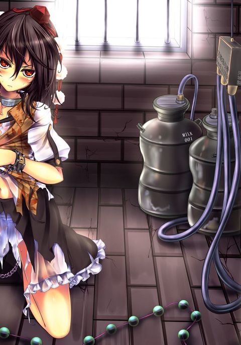 しゃめいまる綾共生ゼッチョウ宗内 しゃめいまる綾共生ゼッチョウ宗内