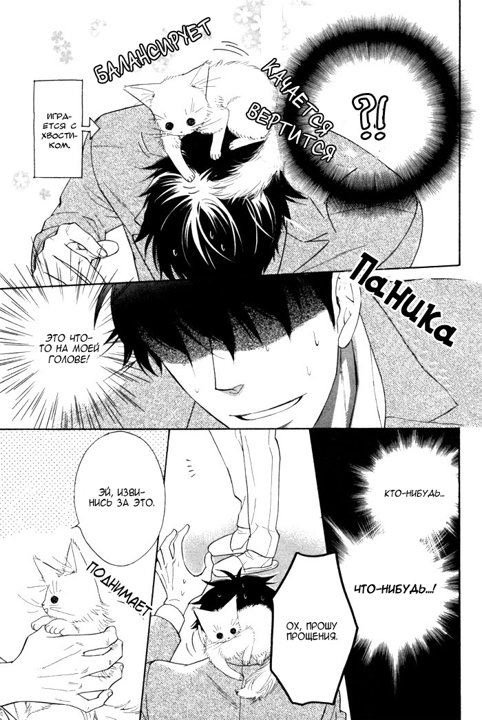 カマテカワイイ人