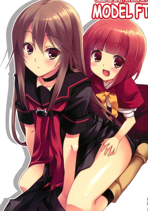 モデルFT モデルFT