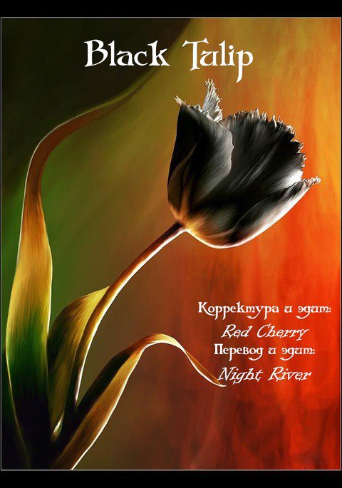 愛の法則 愛の法則