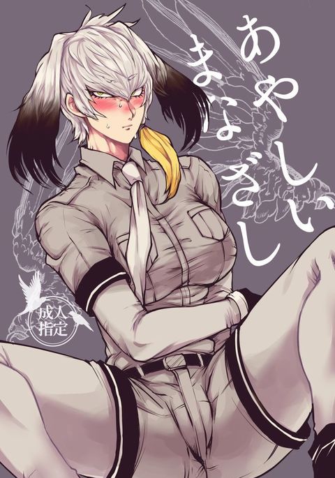 あやしいまなざし