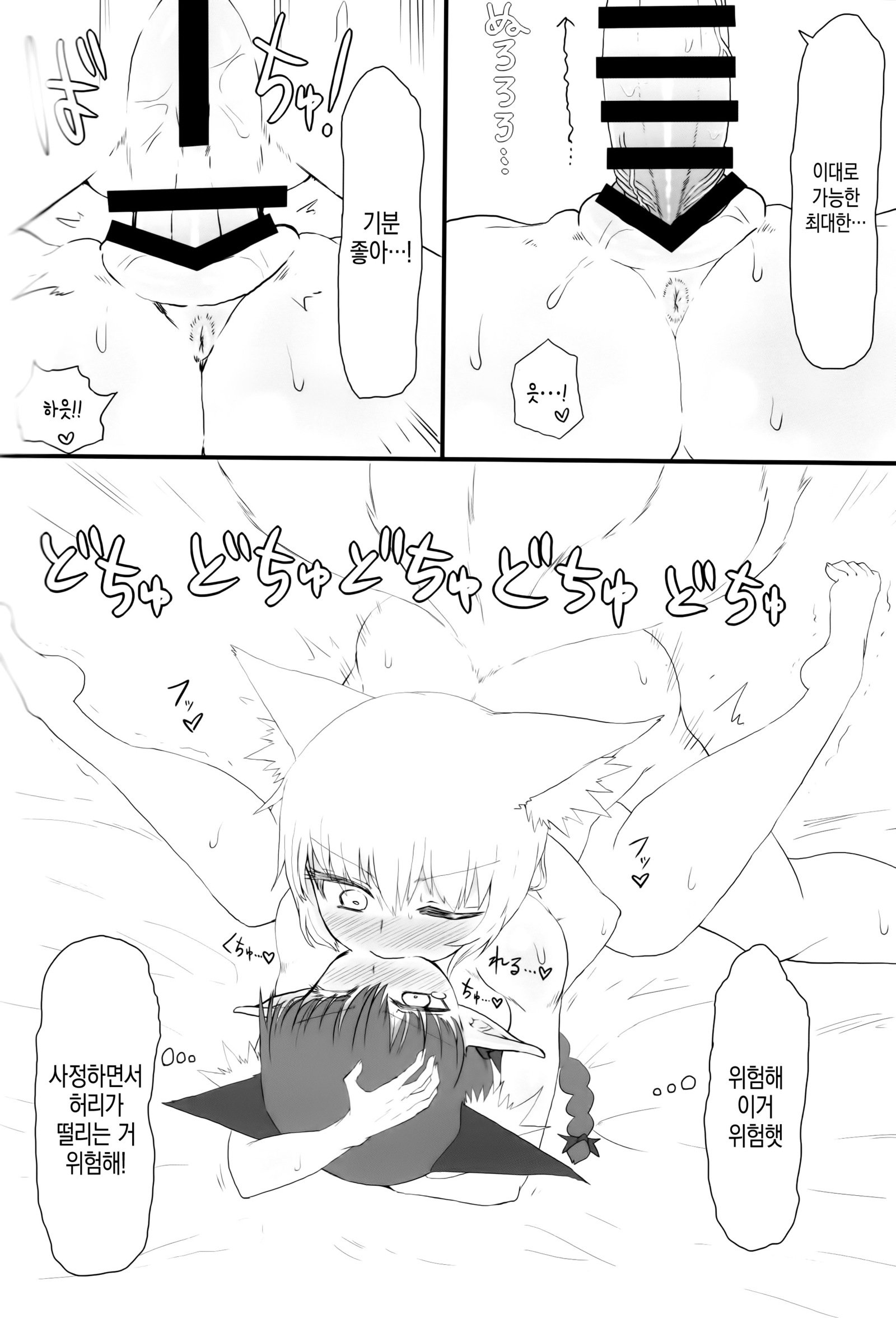 キツネコ。 | 여우냥이。