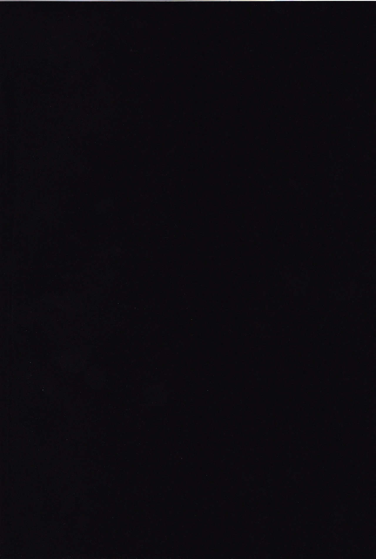 博麗霊夢