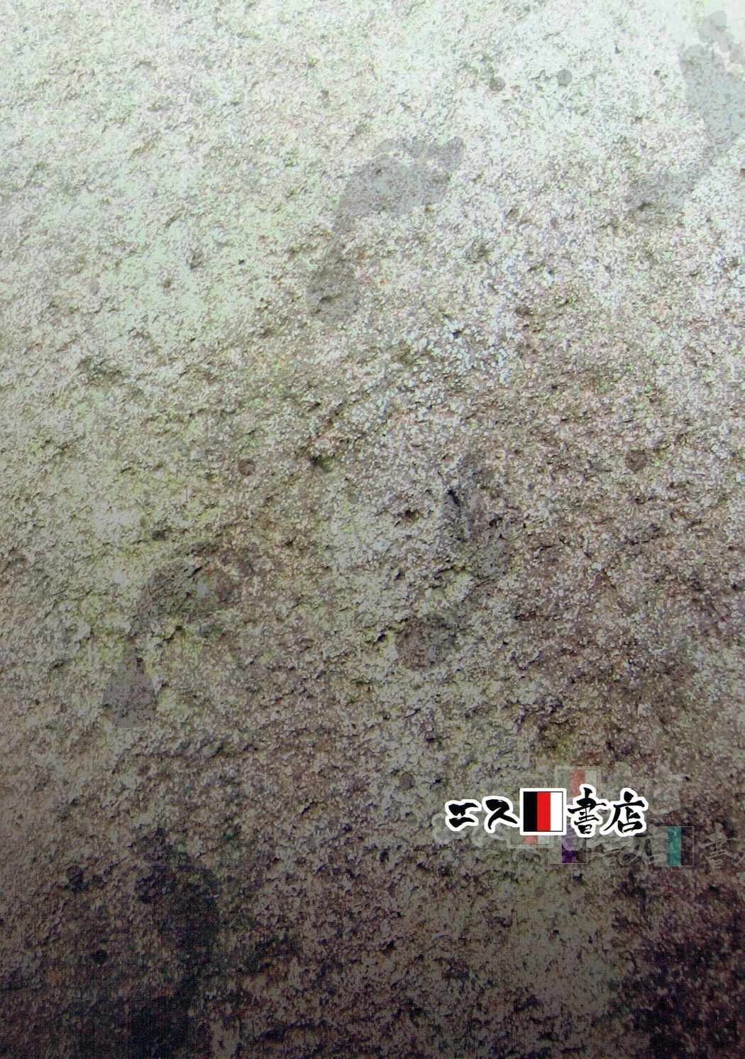 ハダシのあしおと