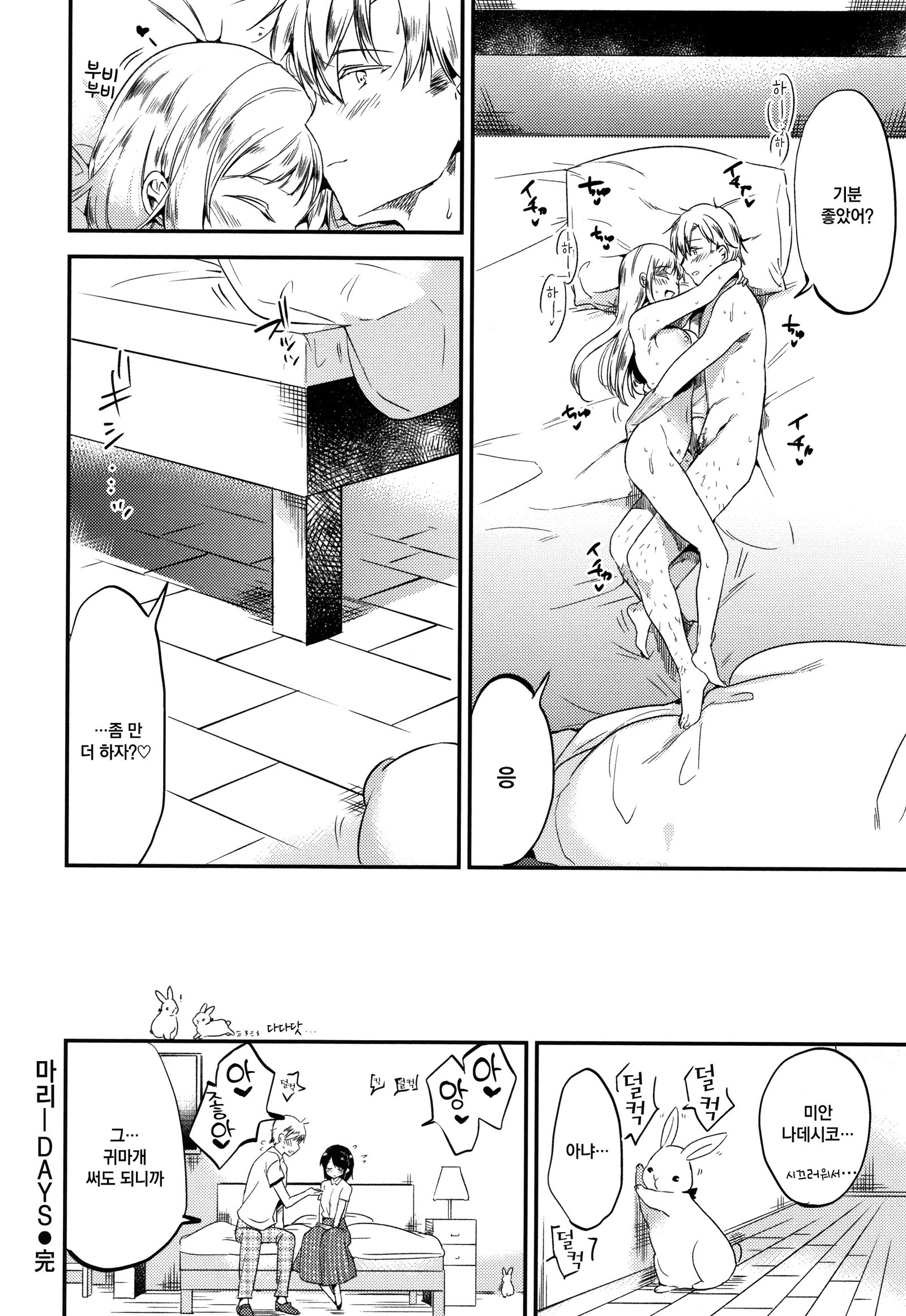 ラビットパラダイス| 래빗파라다이스