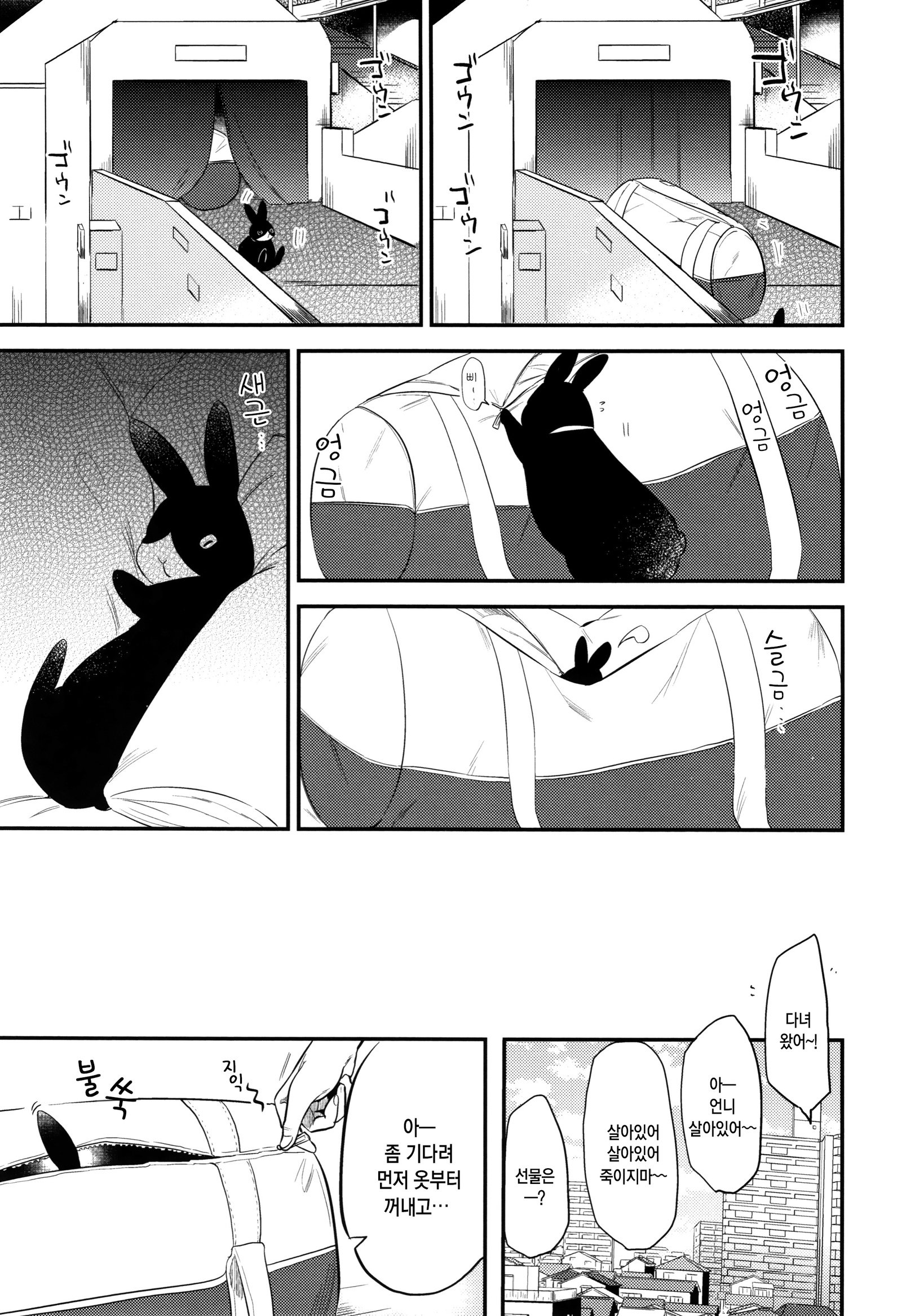 ラビットパラダイス| 래빗파라다이스