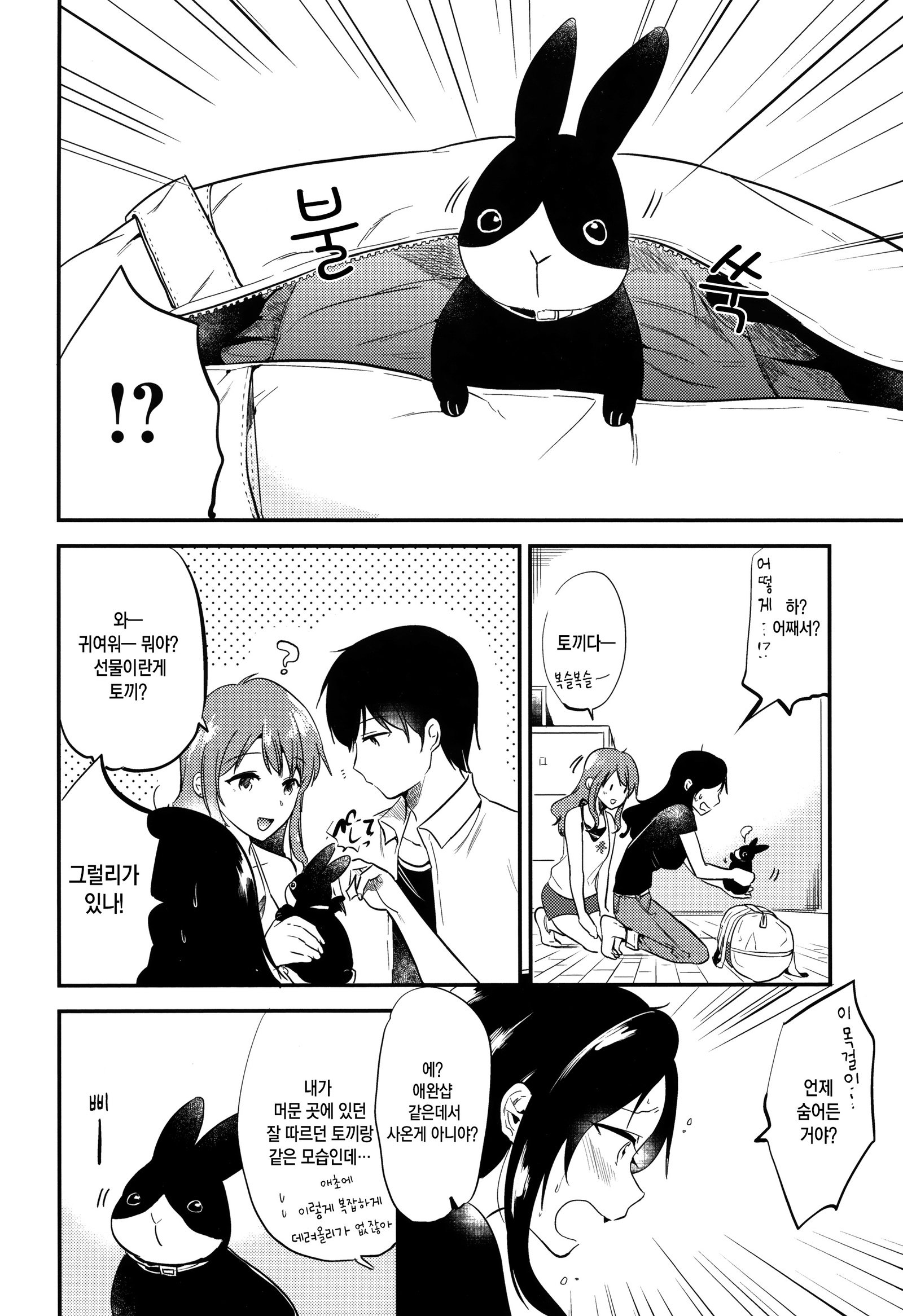 ラビットパラダイス| 래빗파라다이스