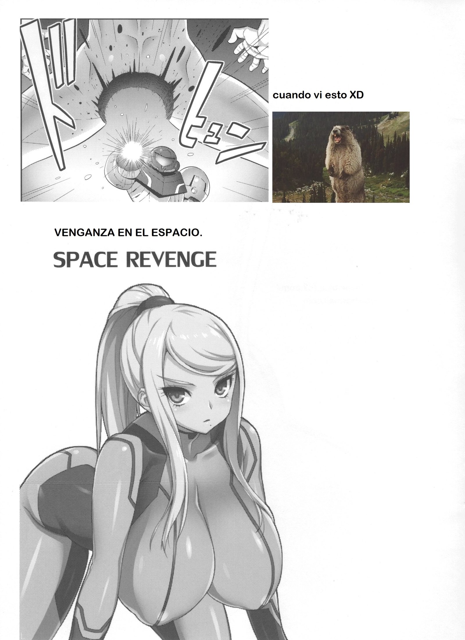 スペースリベンジ