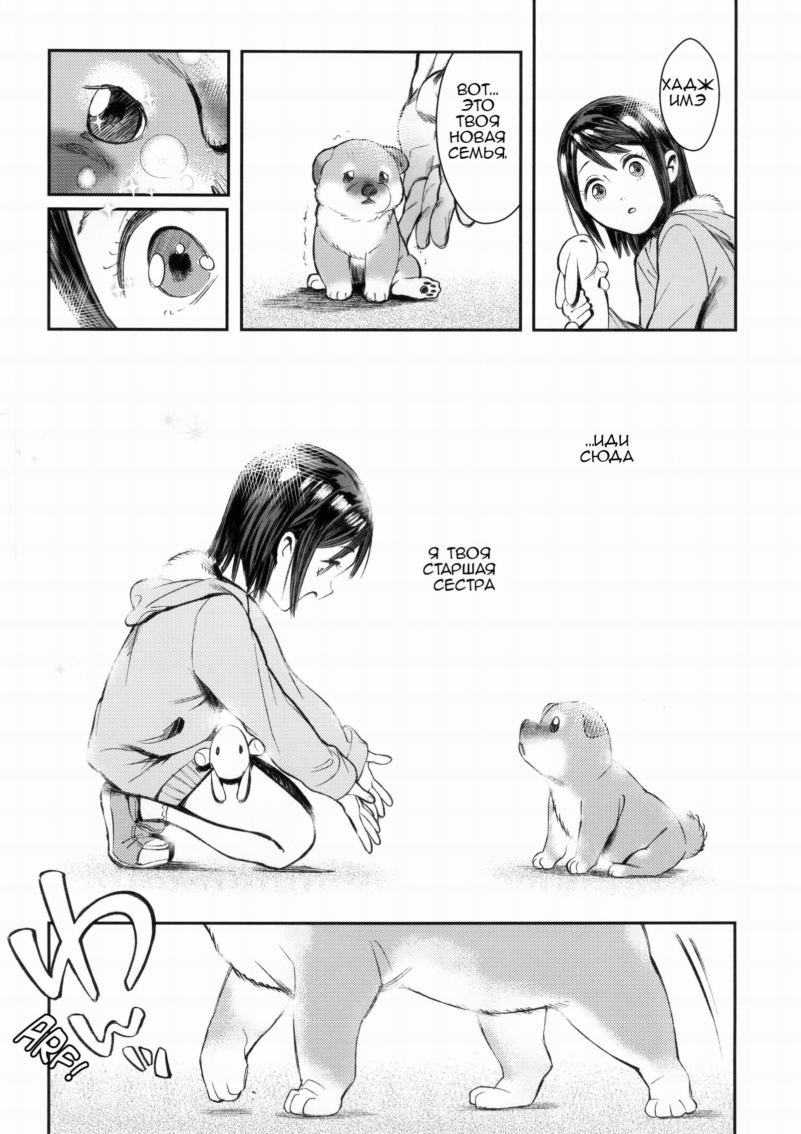 犬のキモチ飯Vol。 001