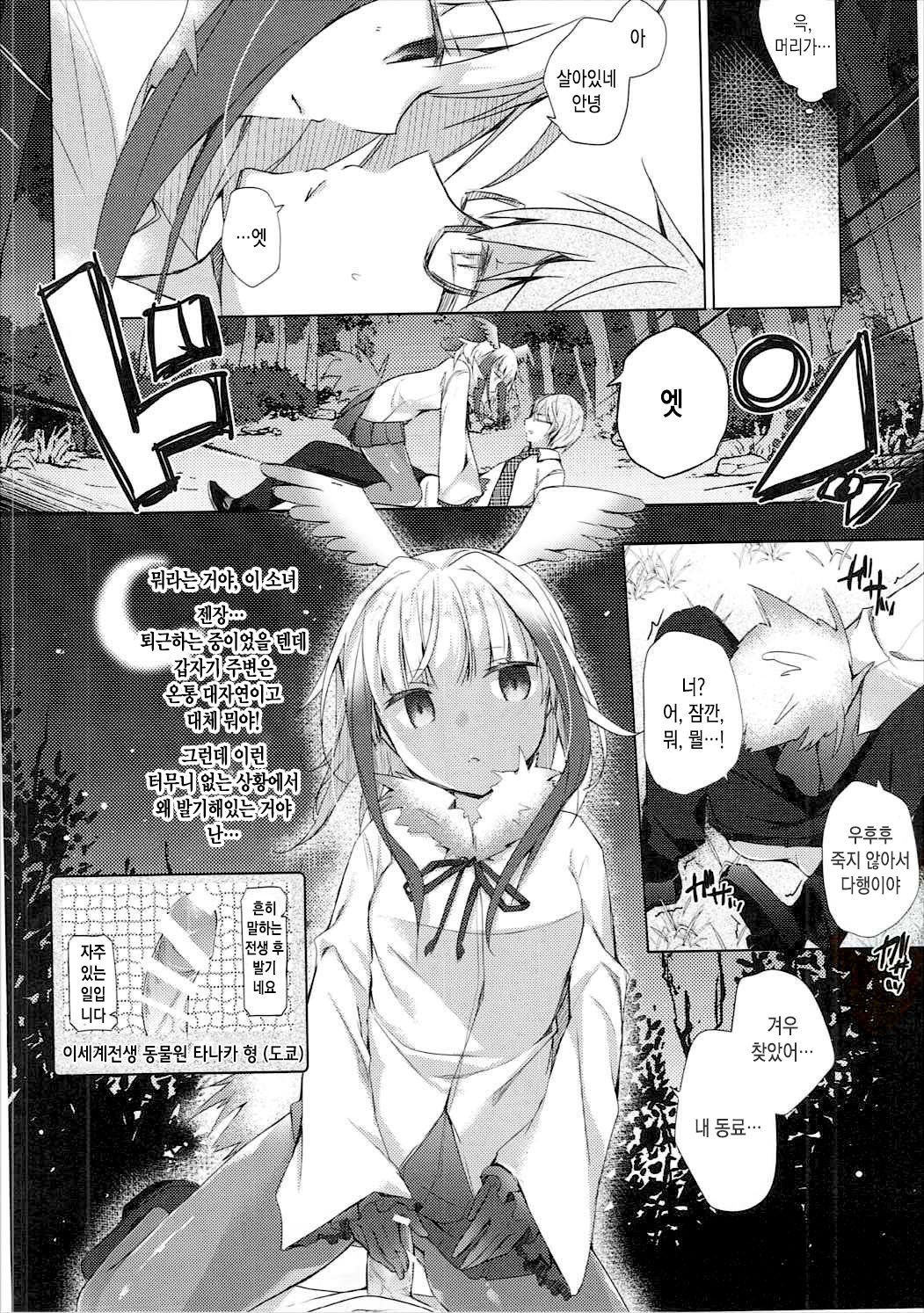 ケダモノフレンズ| 짐승프렌즈