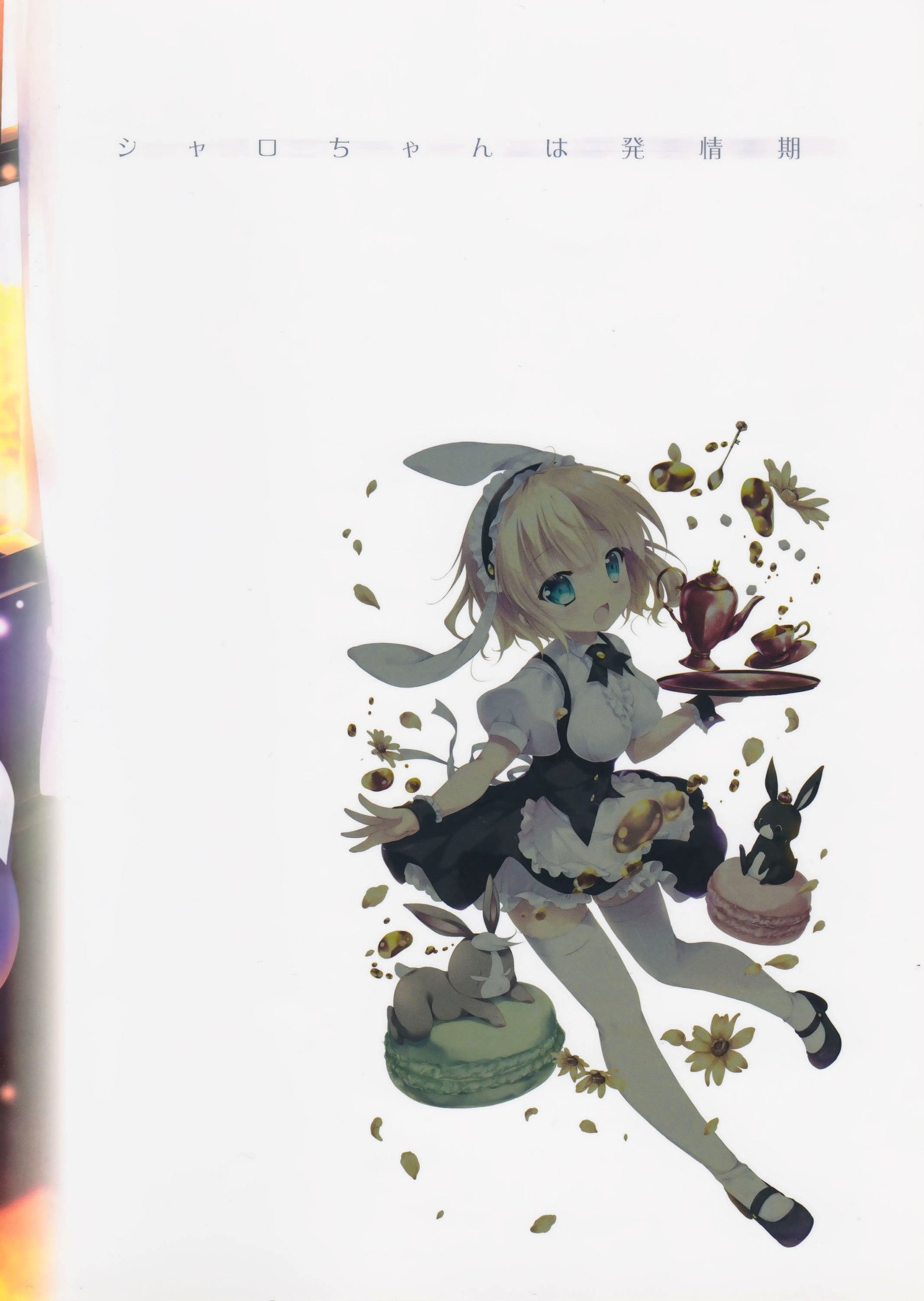 しゃろちゃんは初歩き