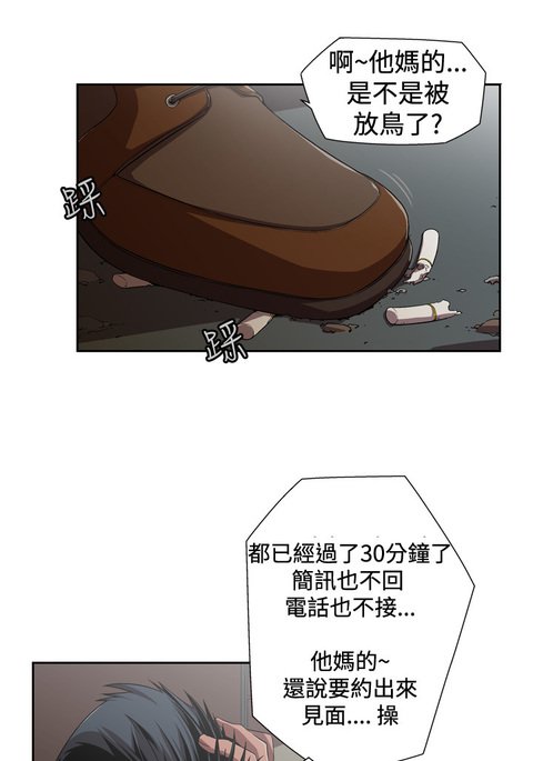 捕猎母猪 捕猎母猪