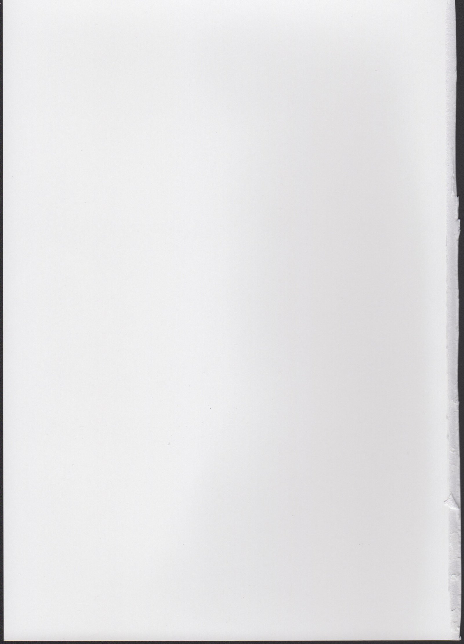 秋月いつきまゆちえり1-10