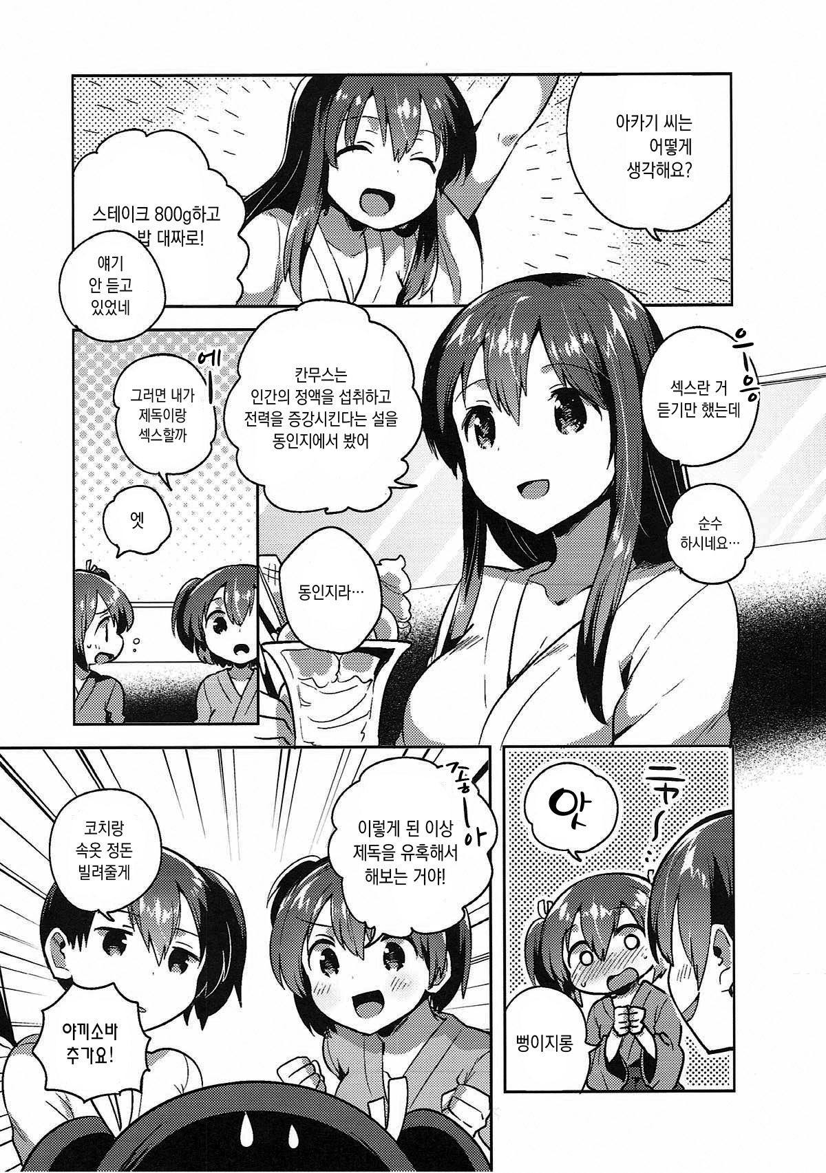 蒼龍と氷光のxx作戦