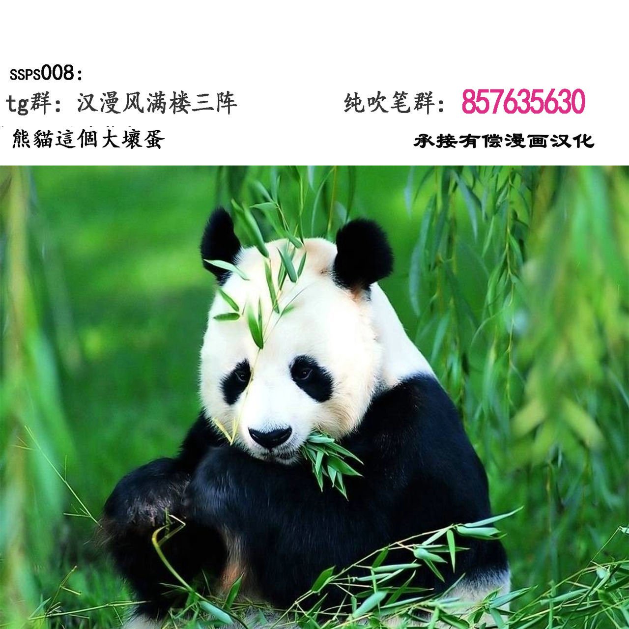 マザーズケアサービス