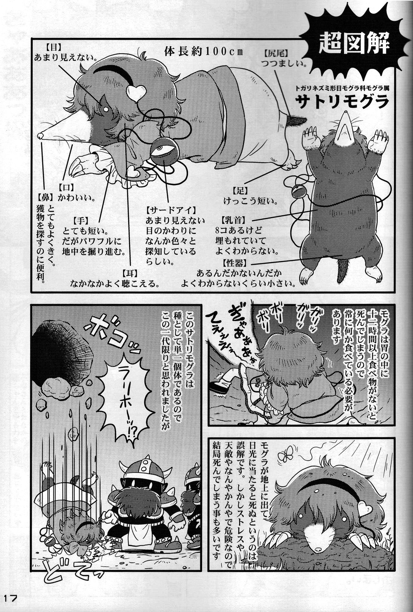 東方PLUMFURFINAL（東方Project