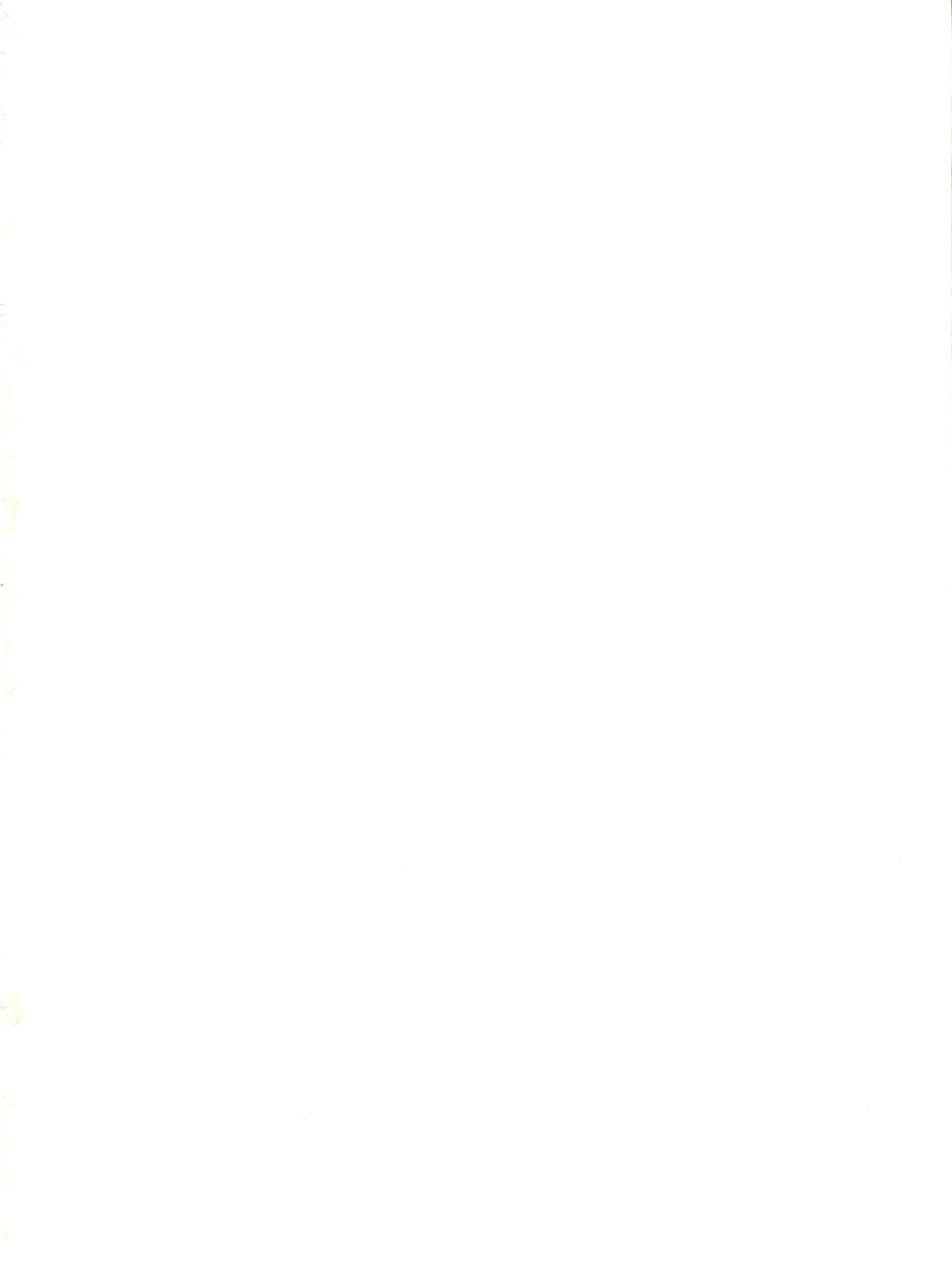 Rタイムスペシャル