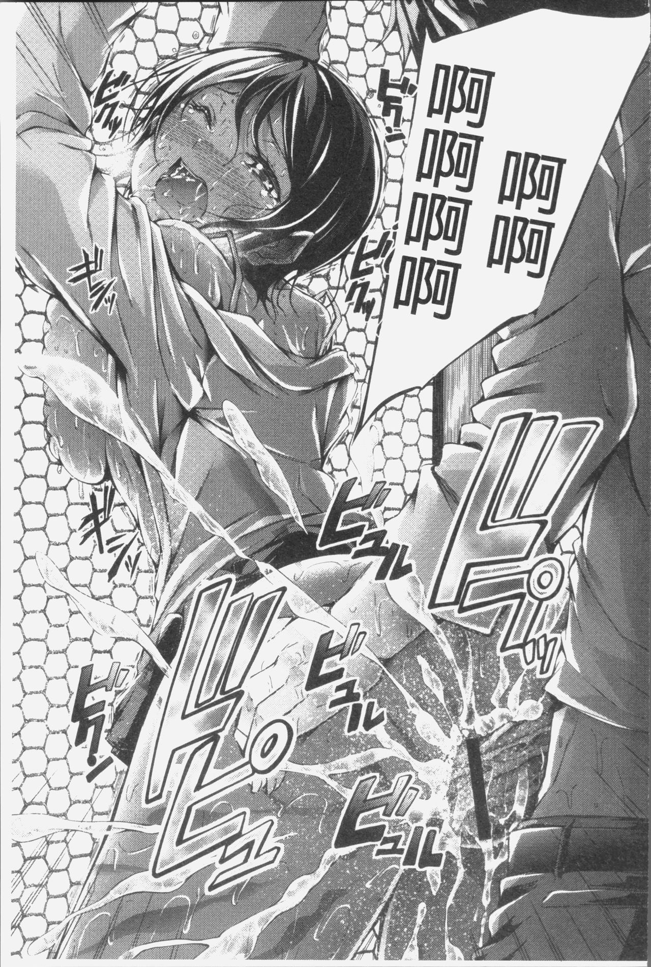 犬生むちりプレス