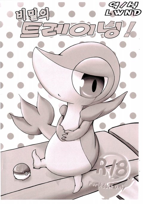 ひみつのトレーニング