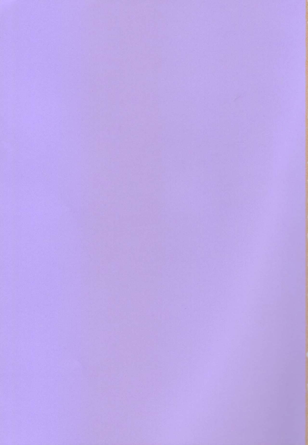 ふたよめ!!異端〜やさしいやくざ編〜