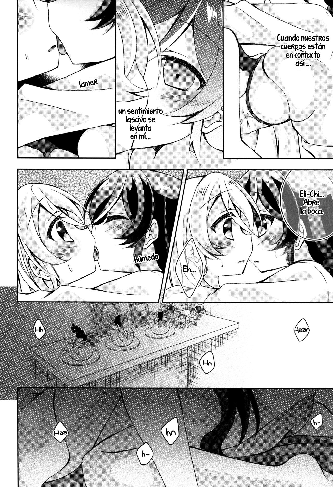クレオメのはなたばo |クレオメスの花束