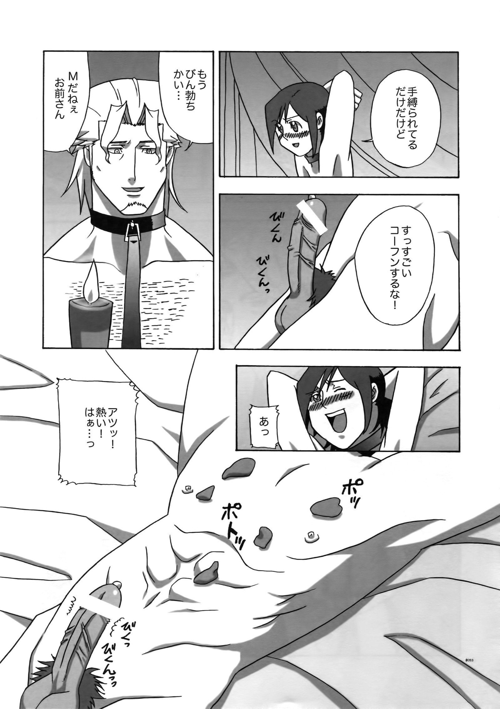 ナデシコ。 EA02