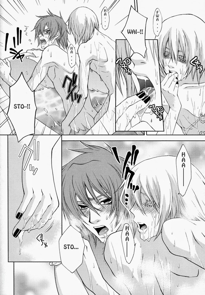 レイニーローズ+ボイスレスボイス