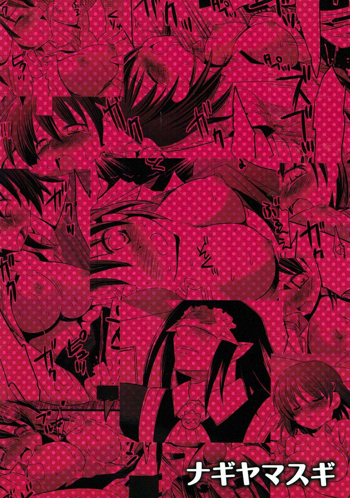 仮面のメイドガイ