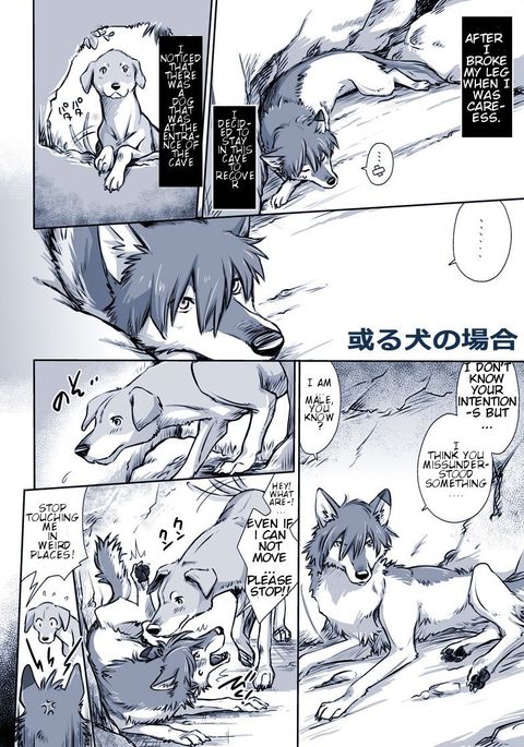 ある犬のばい|ある犬の状況 ある犬のばい|ある犬の状況