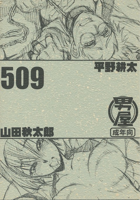 509 509