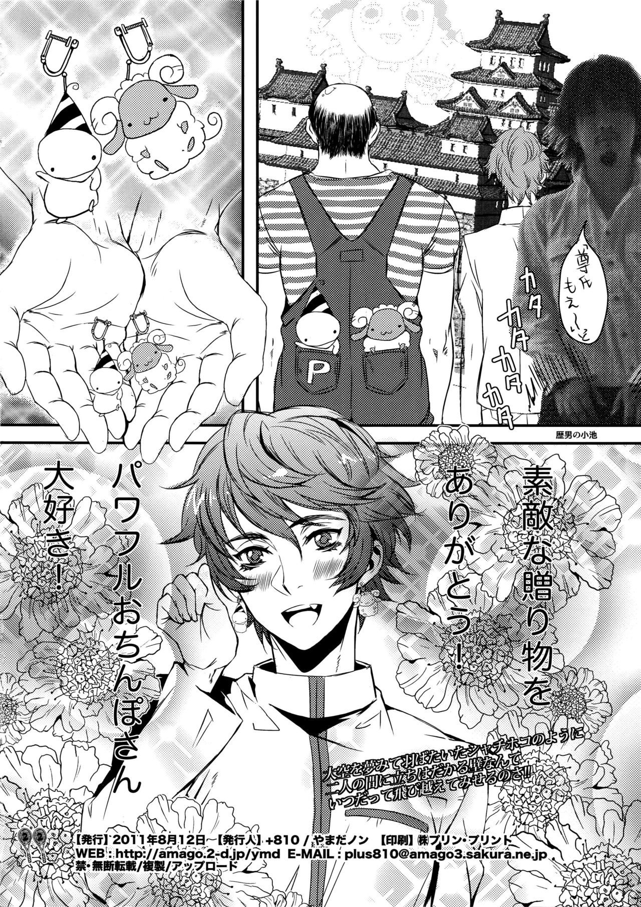 戦国チリドール清純葉