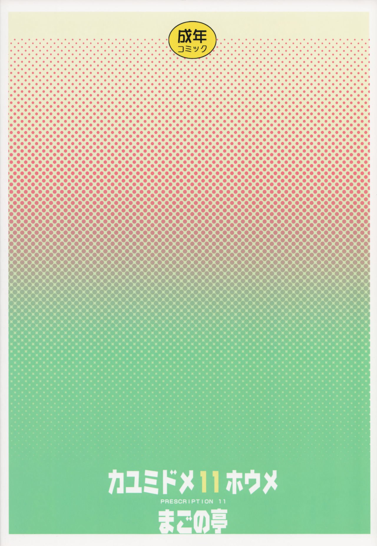 カユミドーム11ホウメ-処方箋11