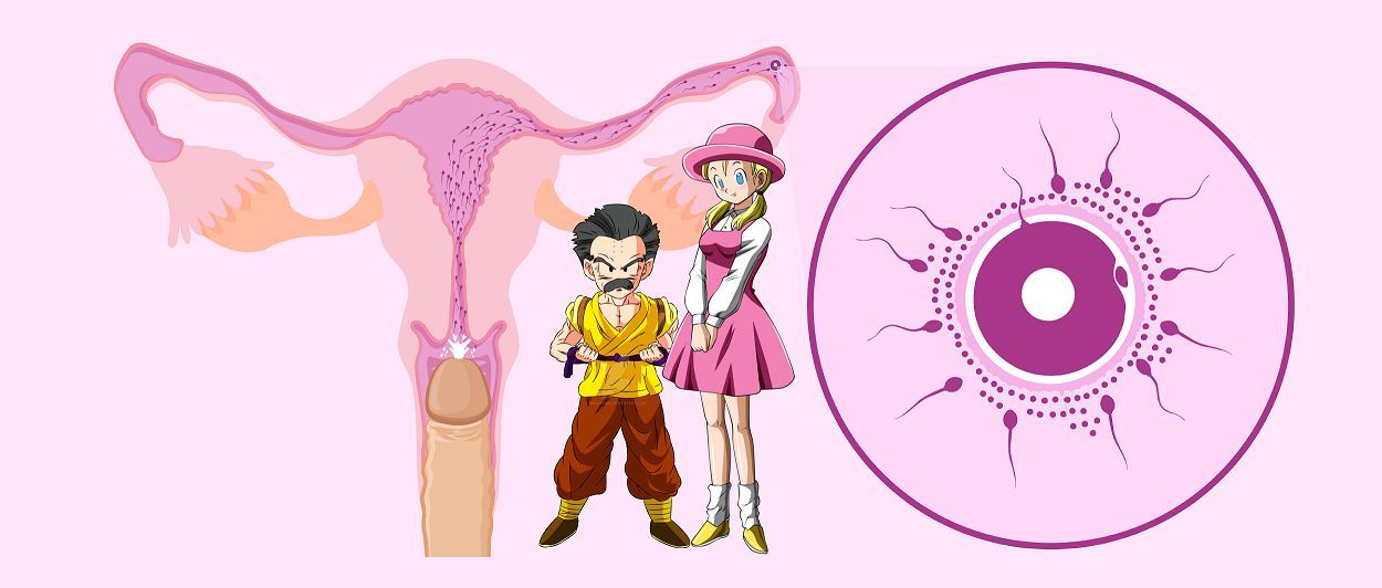 マロンとクリリン