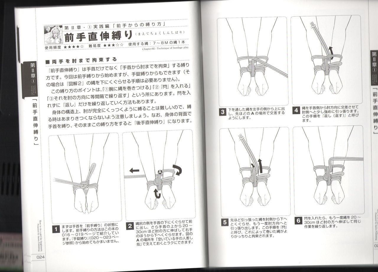 今、あなたはそれを行うことができます！図解タイドハウツーマニュアル