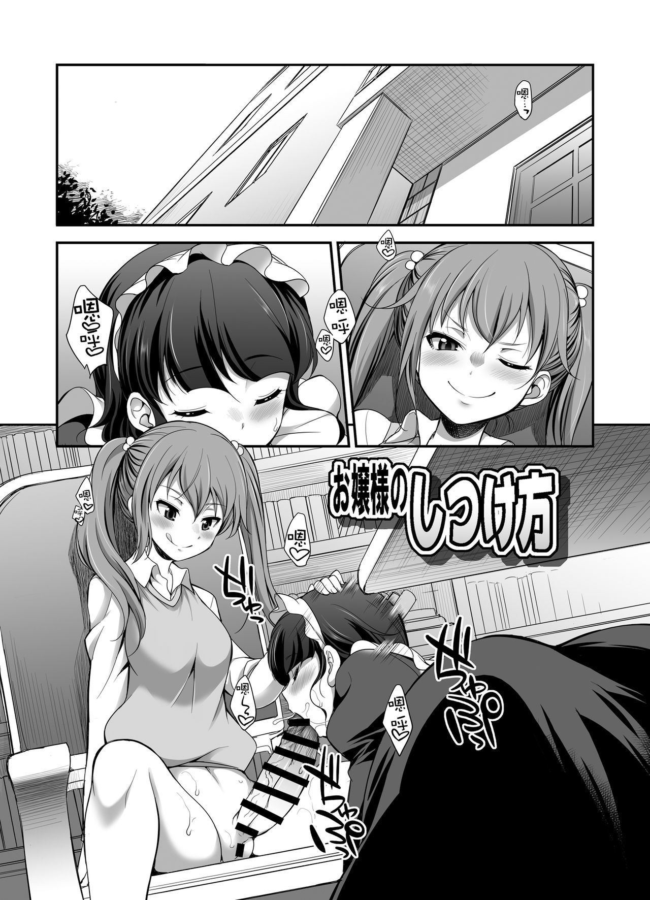 お嬢様のしつけかた