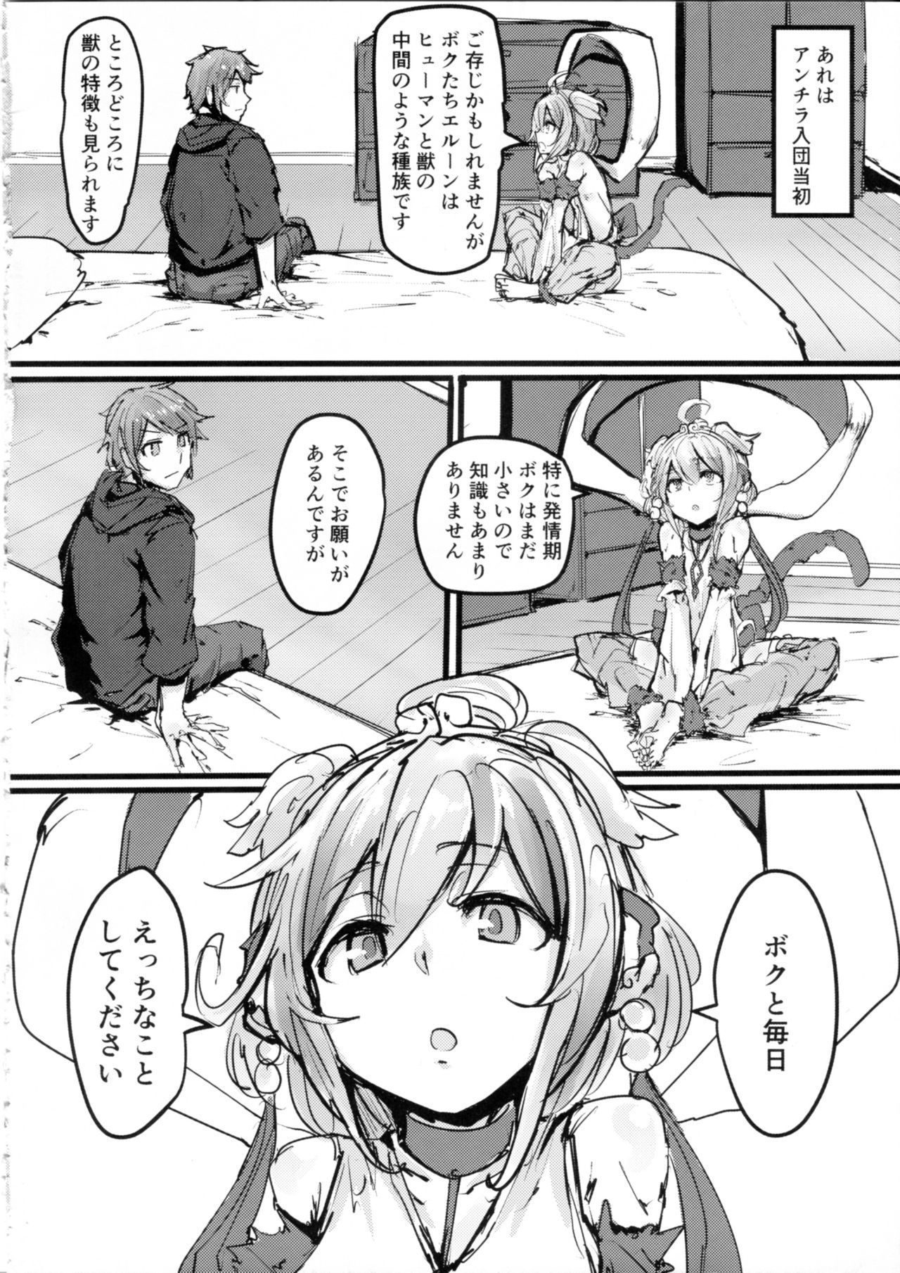 アンディラのコウユキ