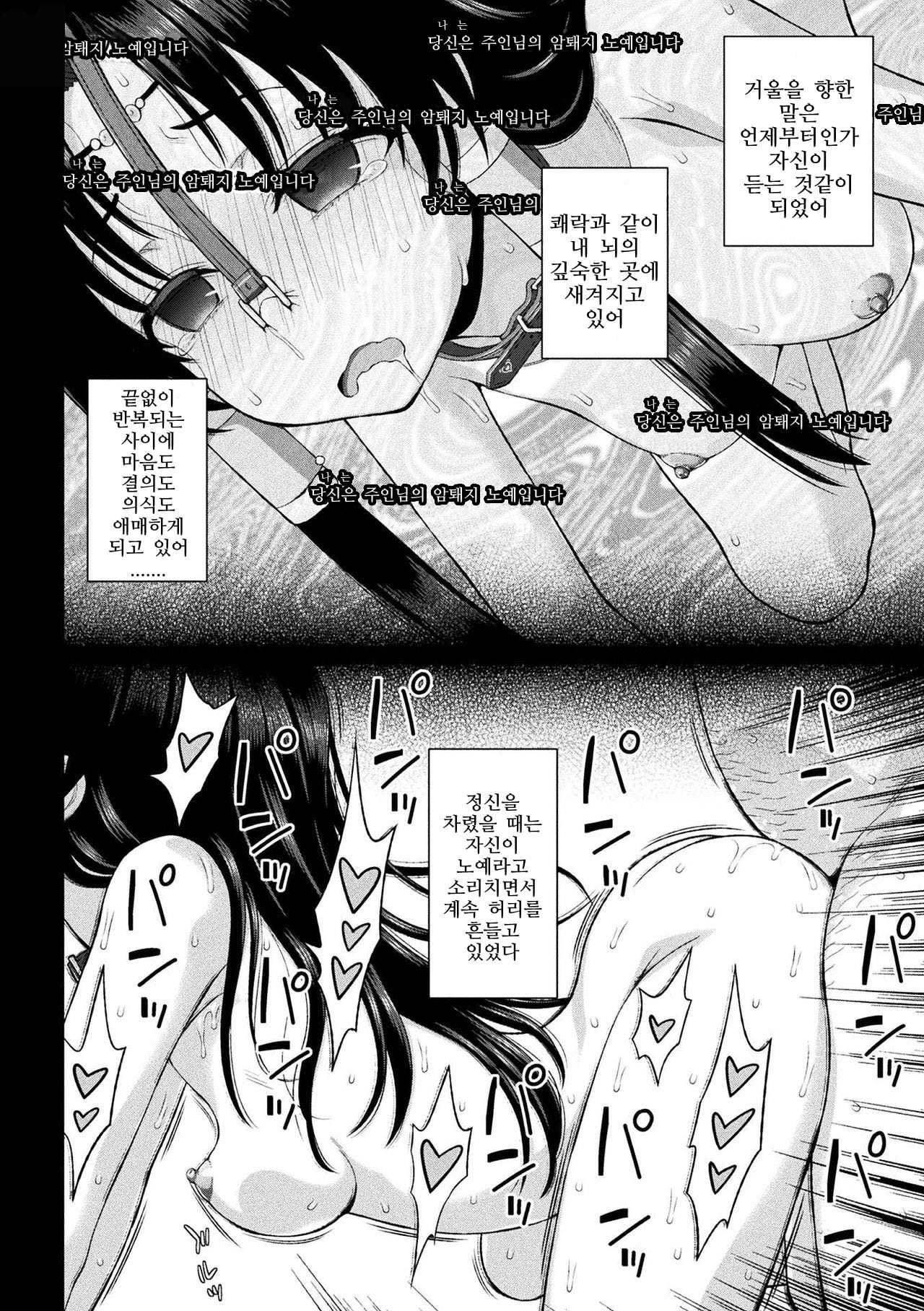 清城の剣信Ch。 1-8