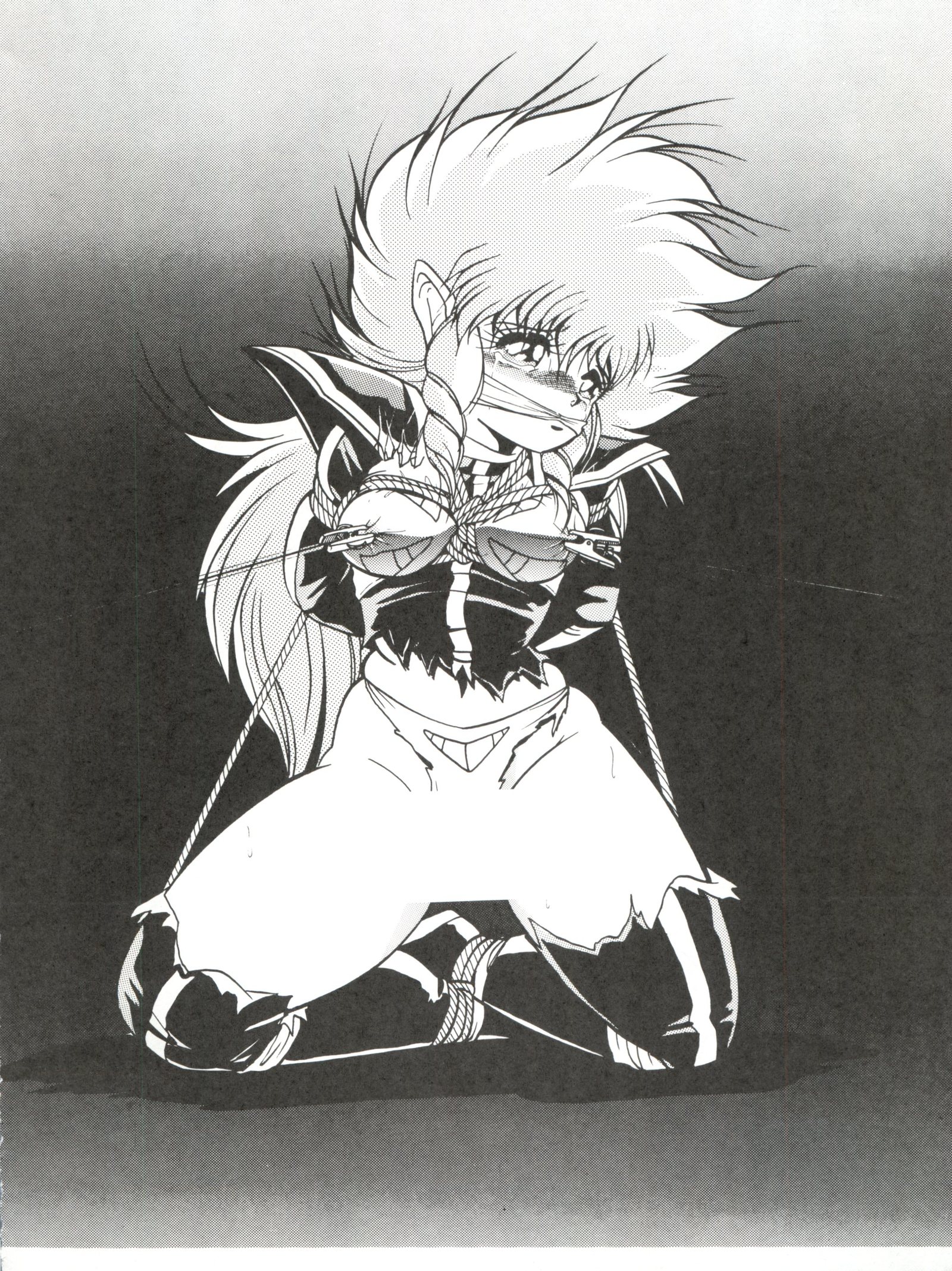 どうがこむすめ