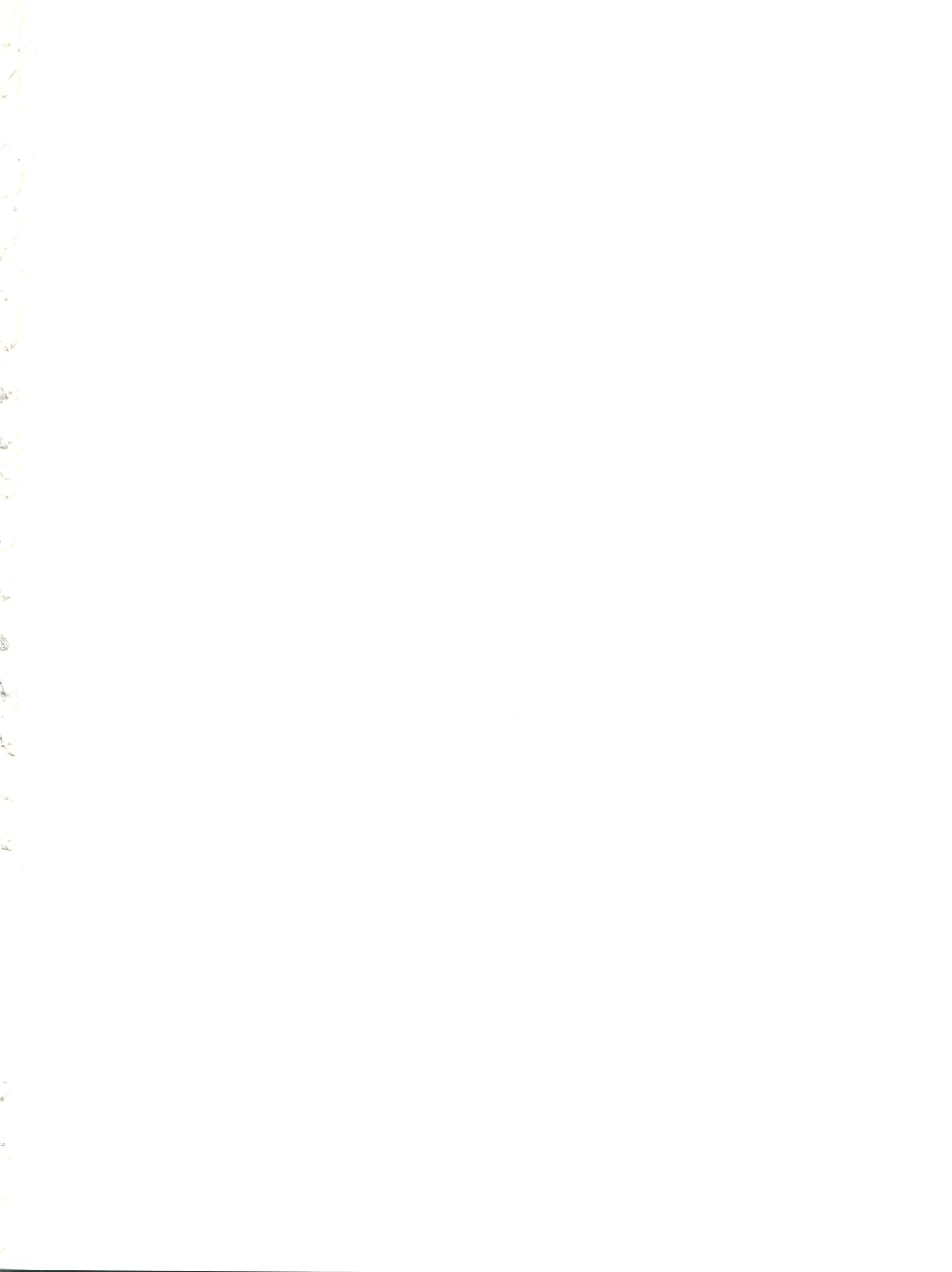 どうがこむすめ