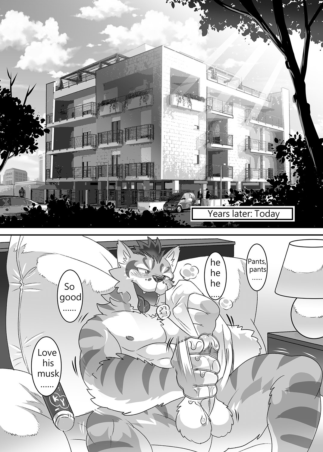 傭兵の秘密の物語