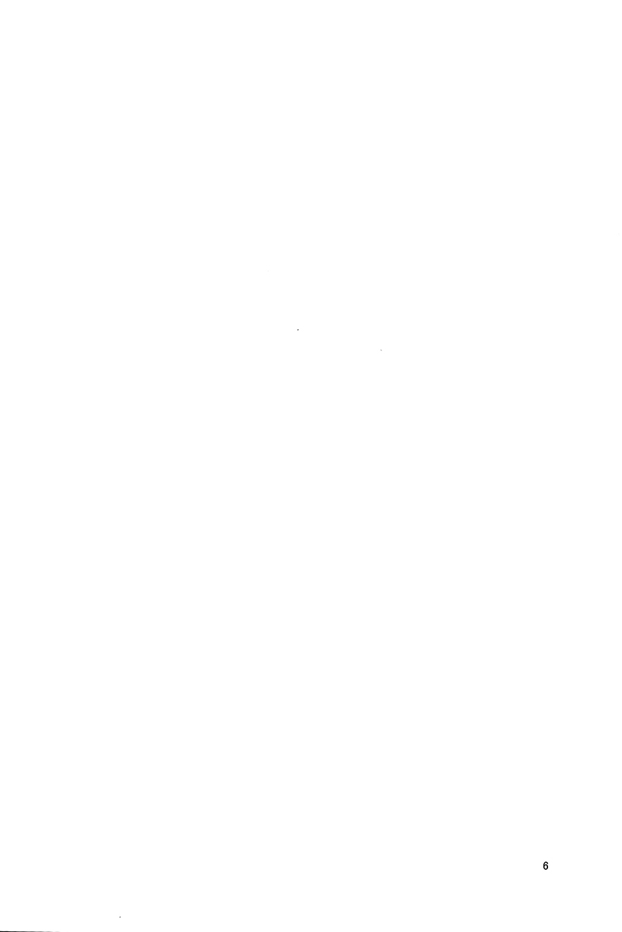 キツネのほうけんたいいく