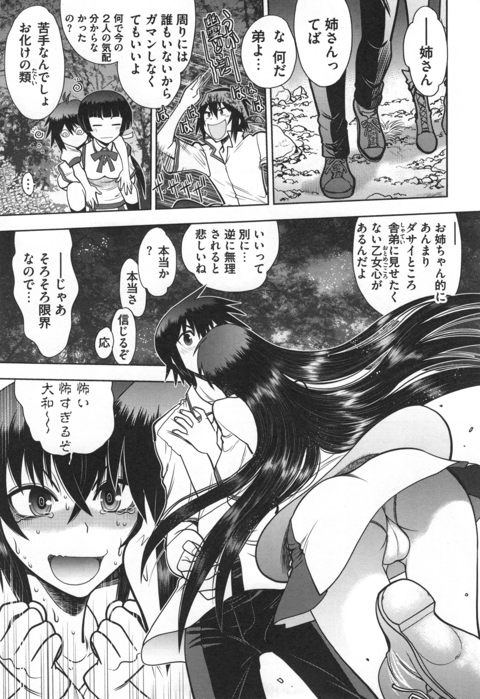 真剣で私に恋しなさい！ S-正大ヒロイン編-